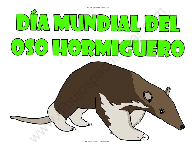 Día Mundial del Oso Hormiguero  dibujo a color y para colorear